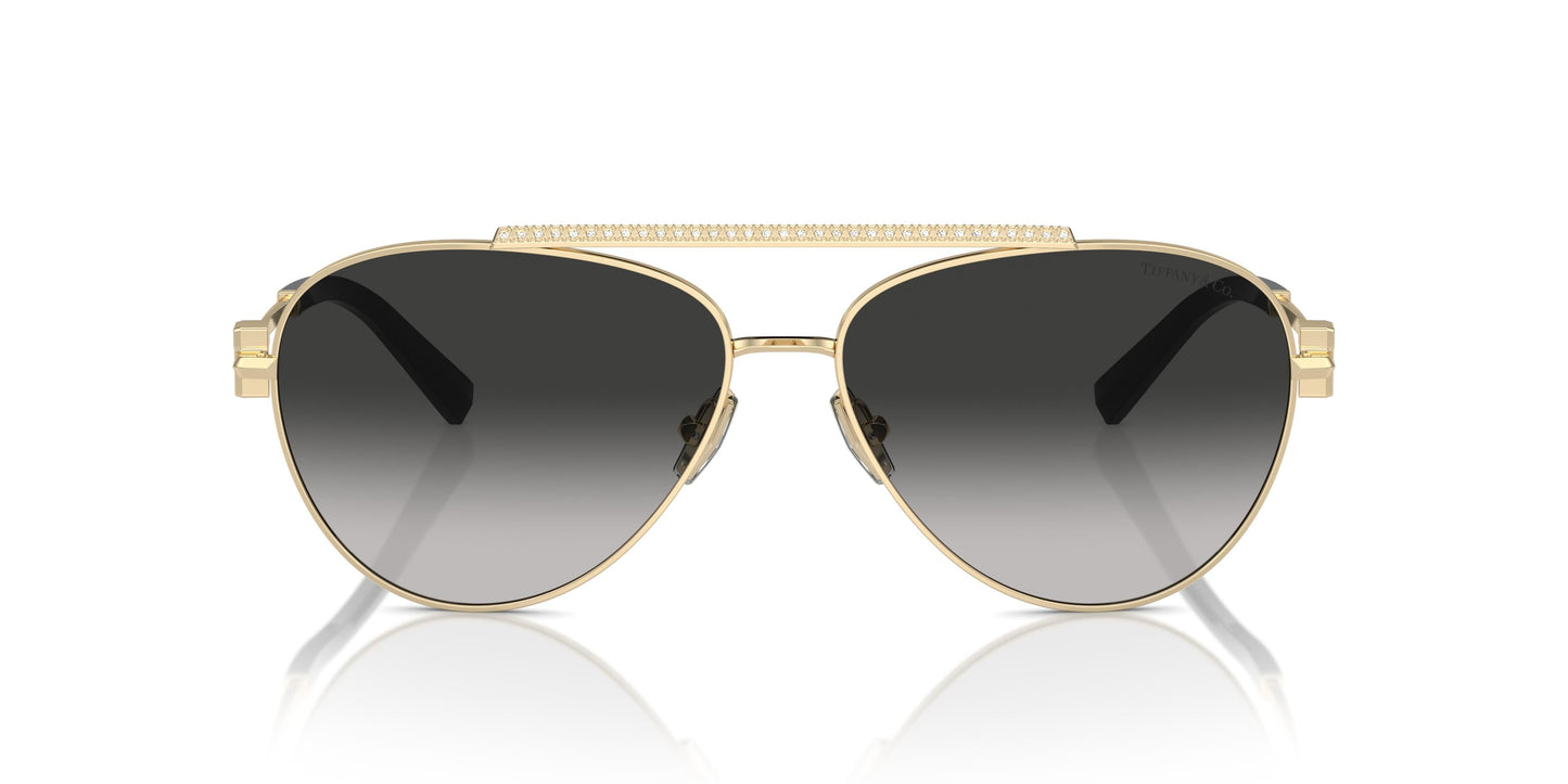 Tiffany TF3101B 60213C 59