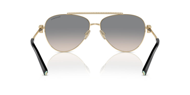 Tiffany TF3101B 61791U 59