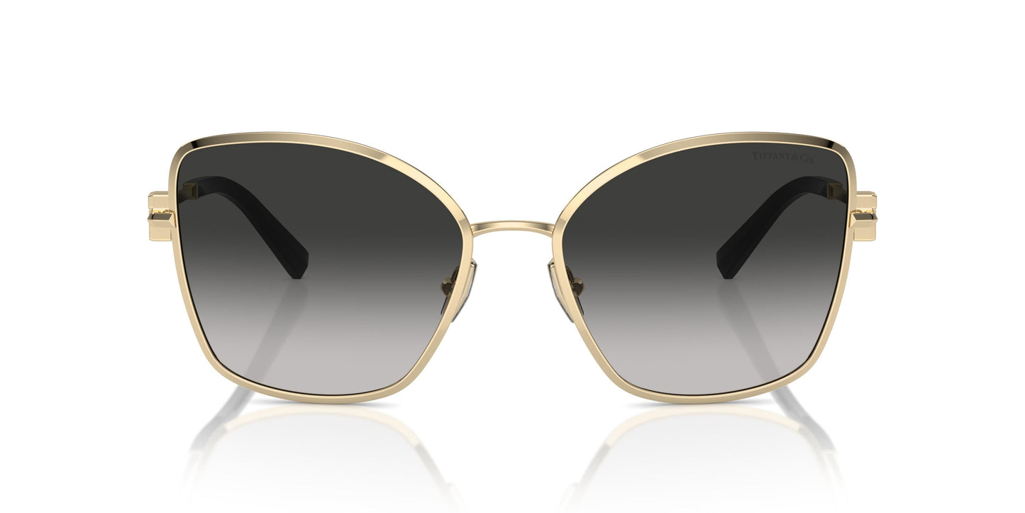 Tiffany TF3102B 60213C 58