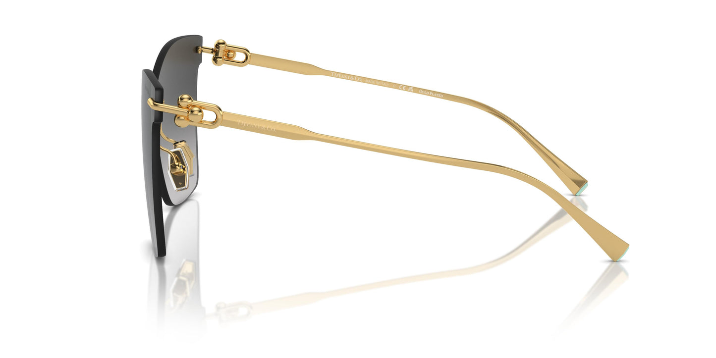 Tiffany TF3103K 62113C 0