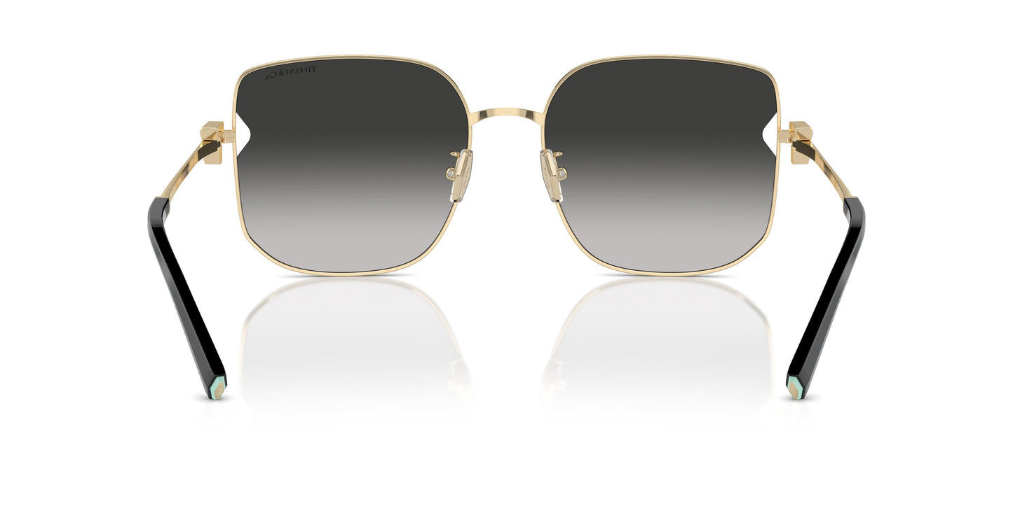 Tiffany TF3105D 6021S4 58