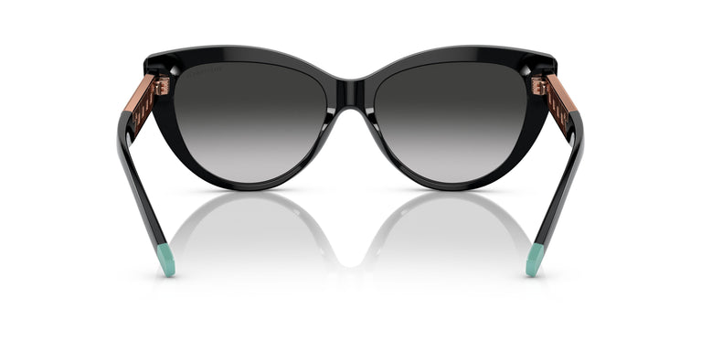 Tiffany TF4196 80013C 56