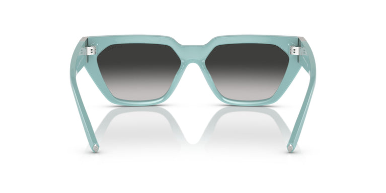 Tiffany TF4205U 83883C 56