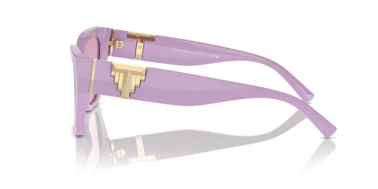 Tiffany TF4218 840776 55