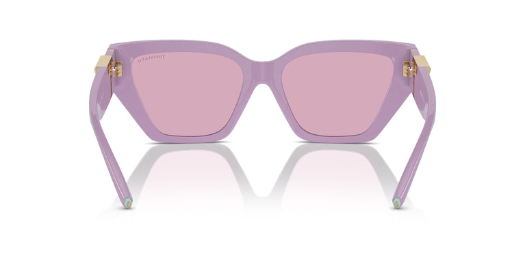 Tiffany TF4218 840776 55