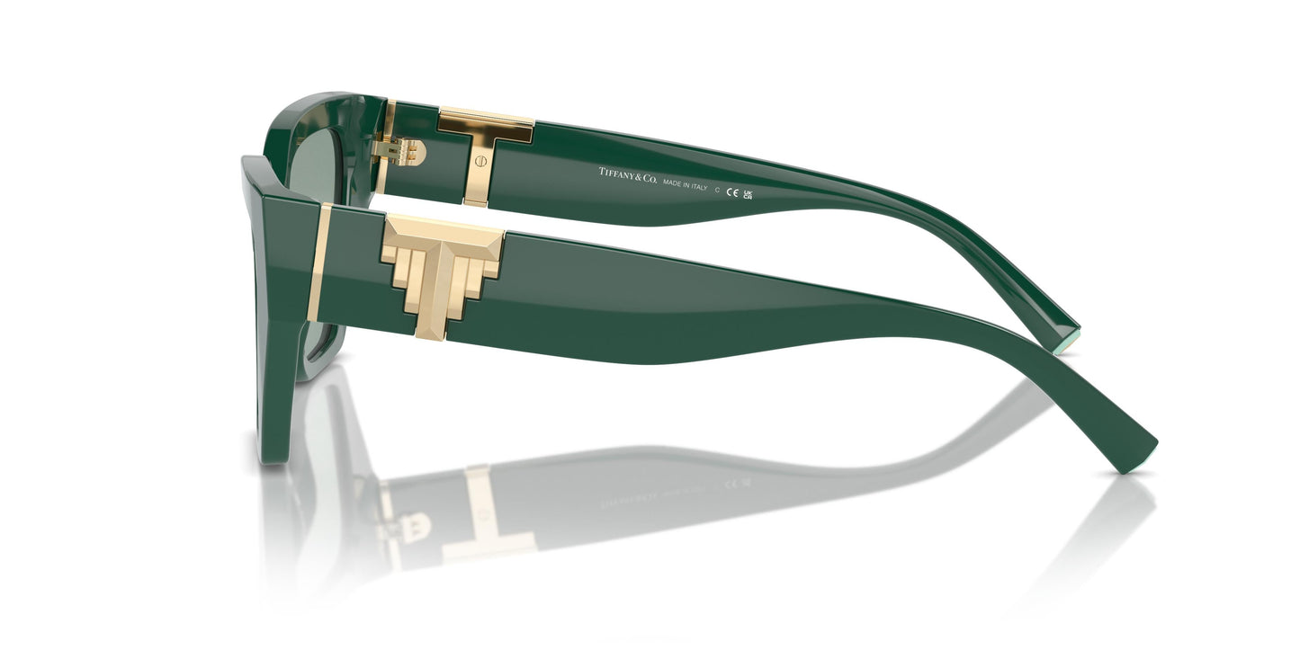 Tiffany TF4218 840882 55