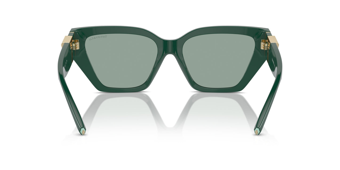 Tiffany TF4218 840882 55