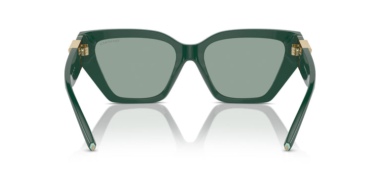 Tiffany TF4218 840882 55