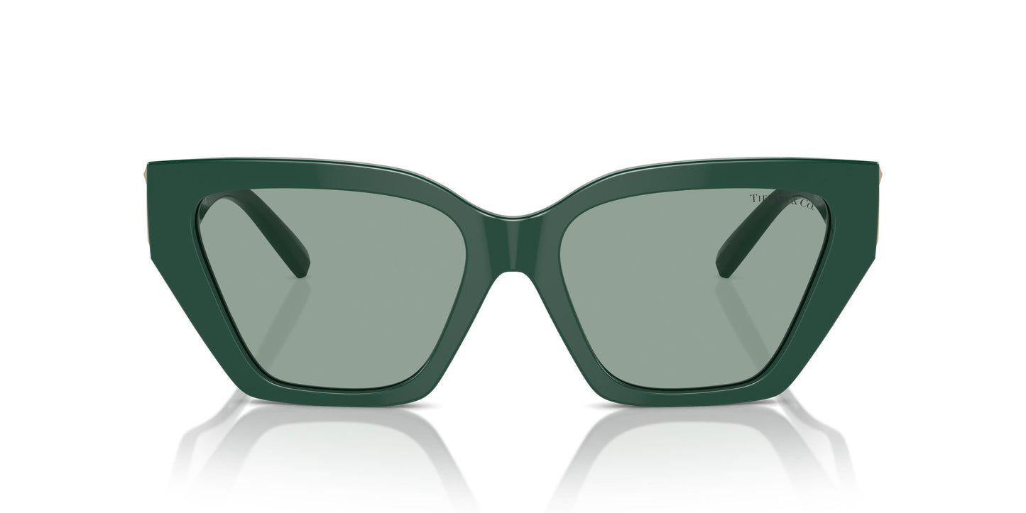 Tiffany TF4218 840882 55