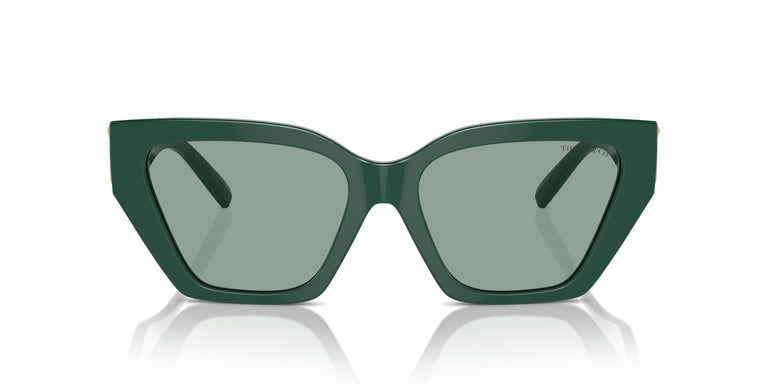Tiffany TF4218 840882 55