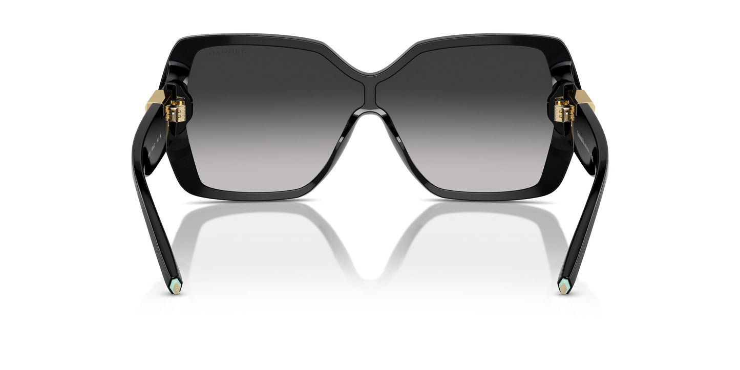 Tiffany TF4219 80013C 0