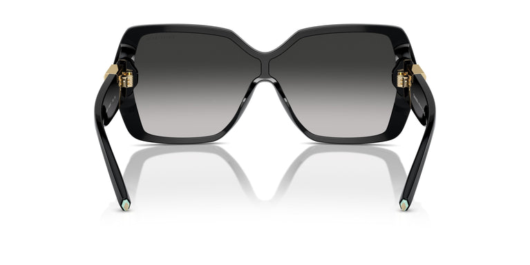 Tiffany TF4219 80013C 0
