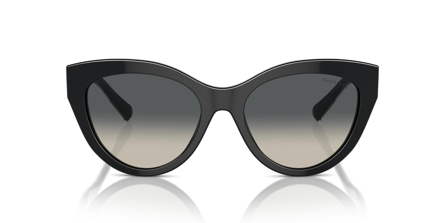 Tiffany TF4220 800171 54