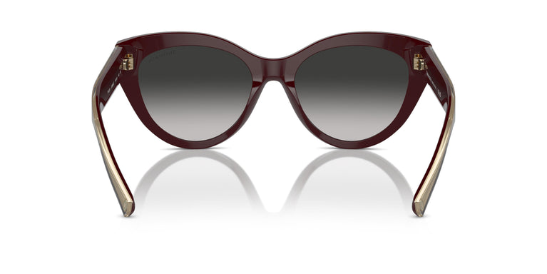 Tiffany TF4220 83893C 54