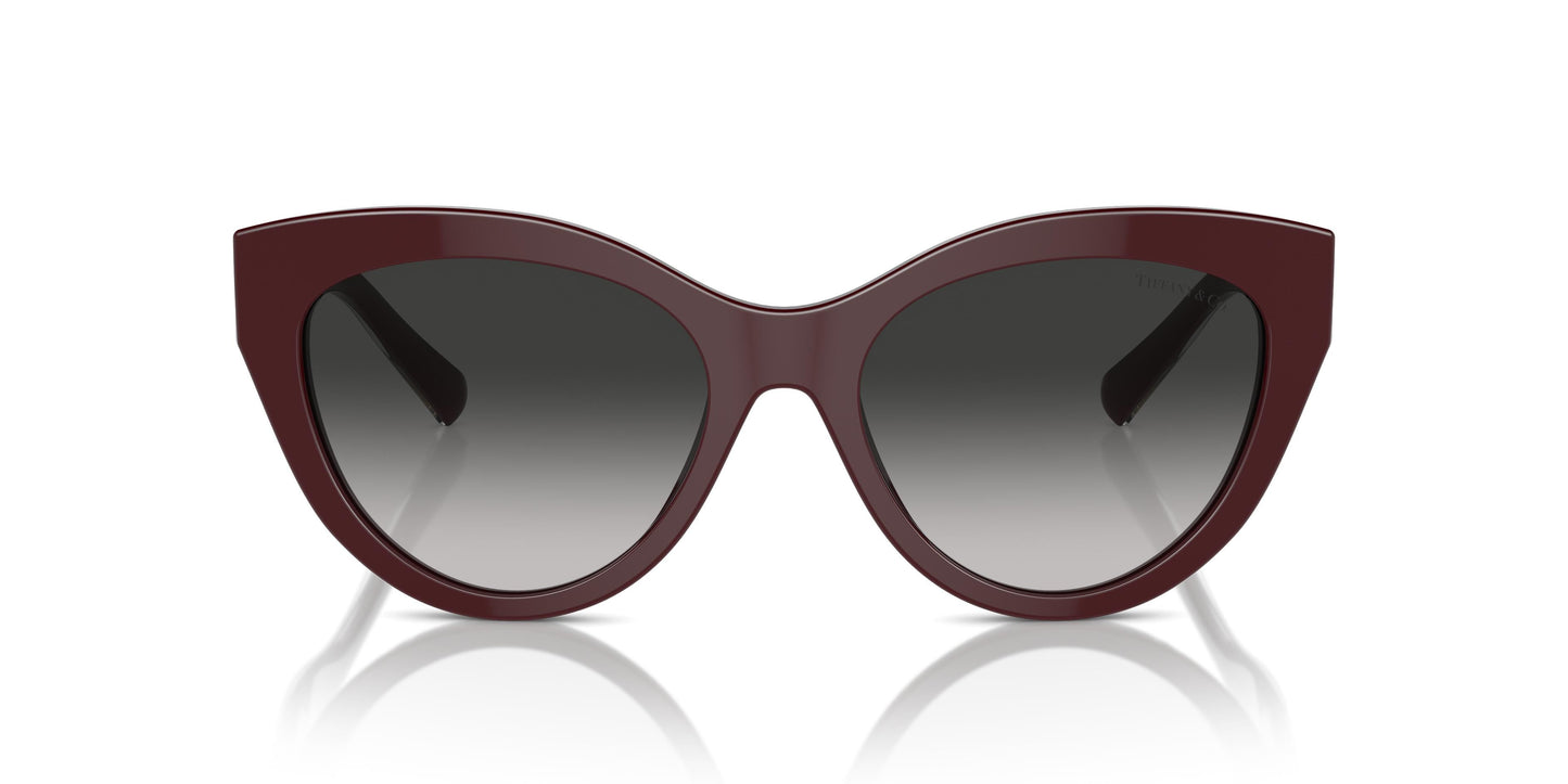 Tiffany TF4220 83893C 54