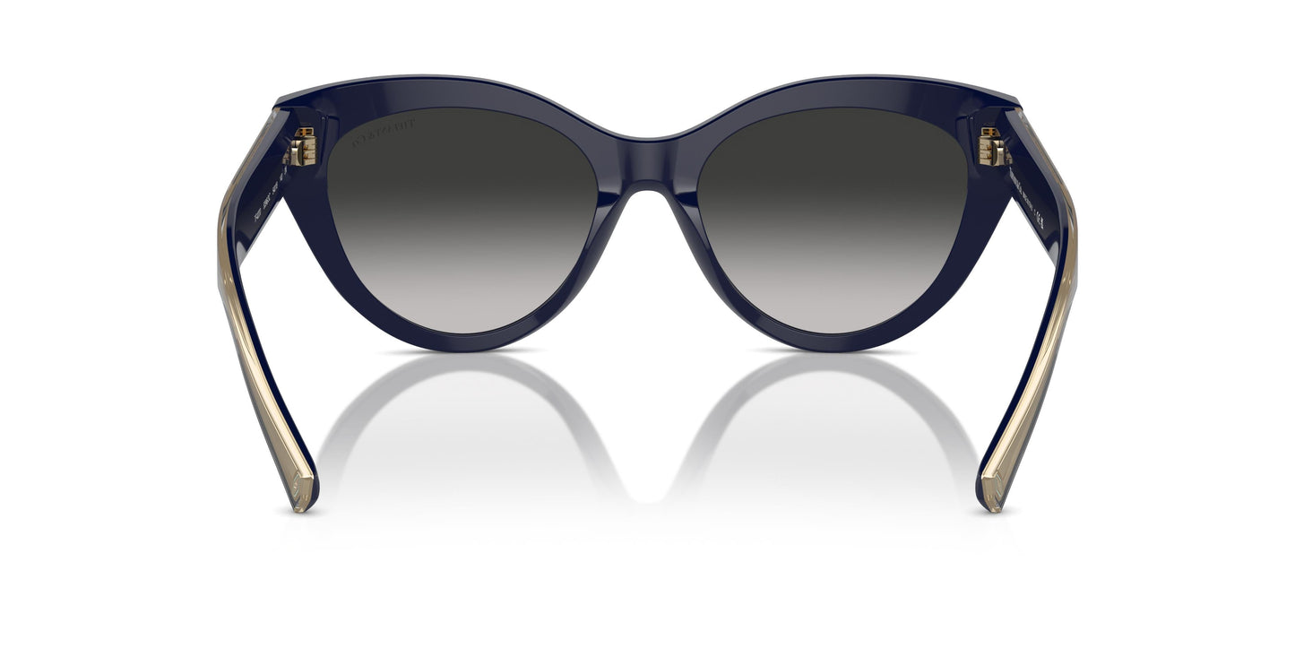 Tiffany TF4220 83963C 54