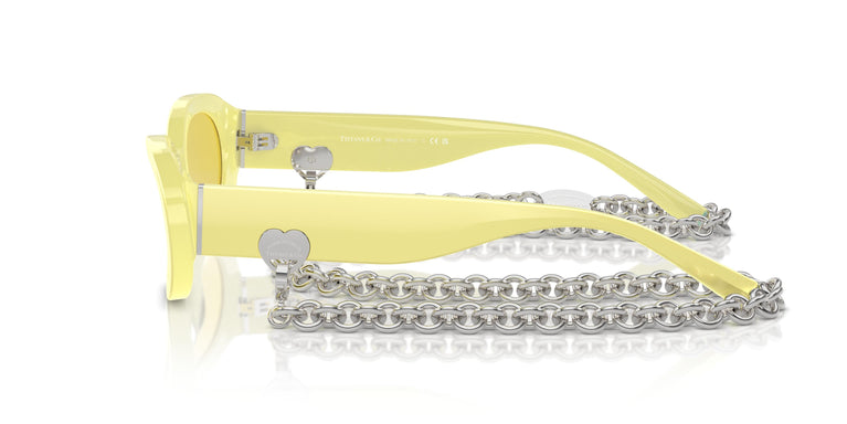 Tiffany TF4221 841285 54