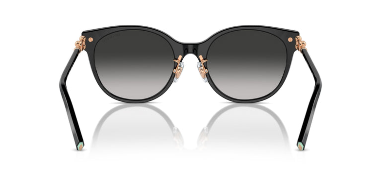 Tiffany TF4223D 80013C 54