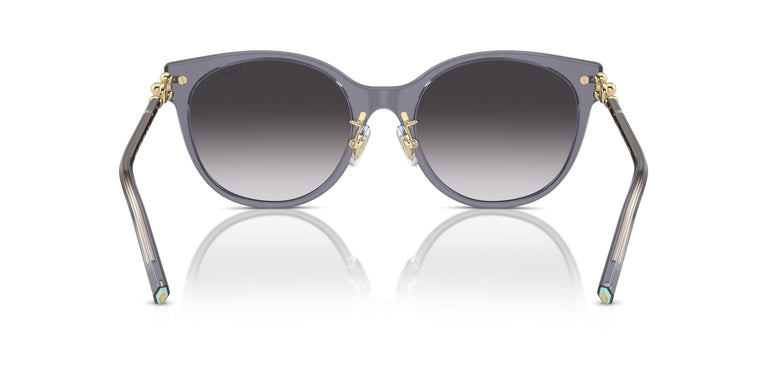 Tiffany TF4223D 84053C 54