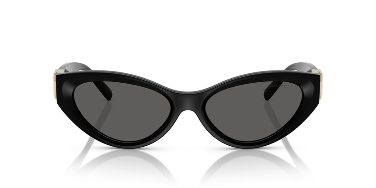 Tiffany TF4225U 8001S4 54