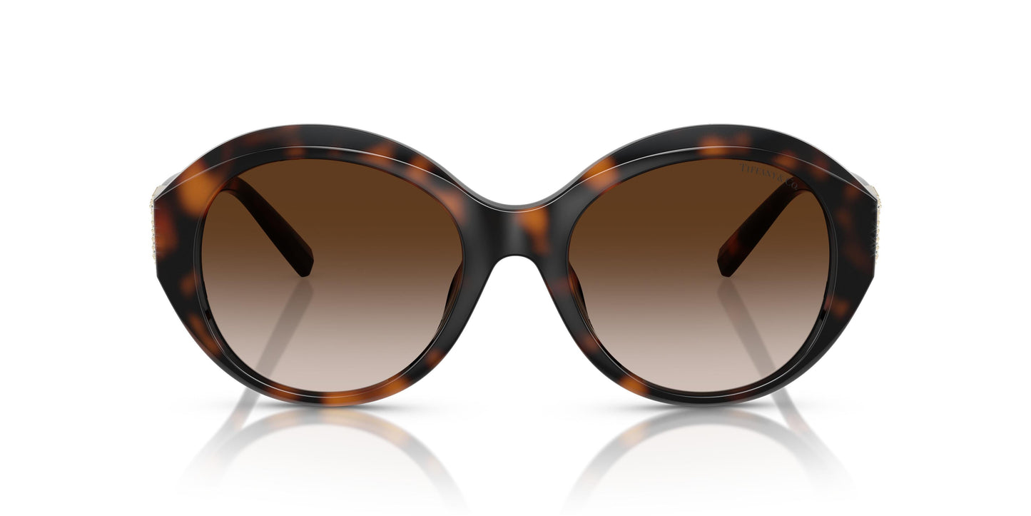 Tiffany TF4227BU 80153B 53