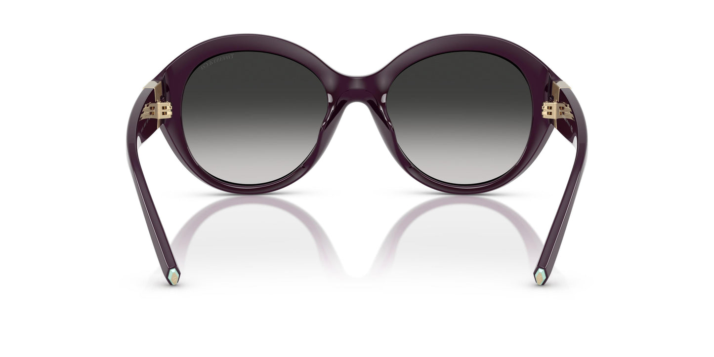 Tiffany TF4227BU 84273C 53