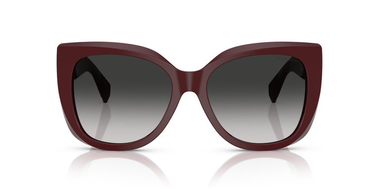 Tiffany TF4229 83893C 55