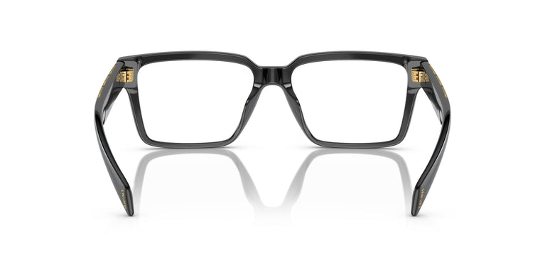 Versace VE3339U GB1 55