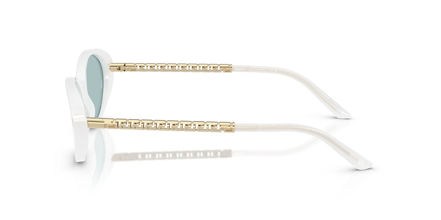 Versace VE4469 547172 54