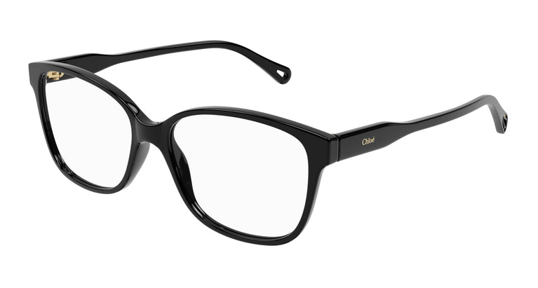 Chloé CH0115O 001 54