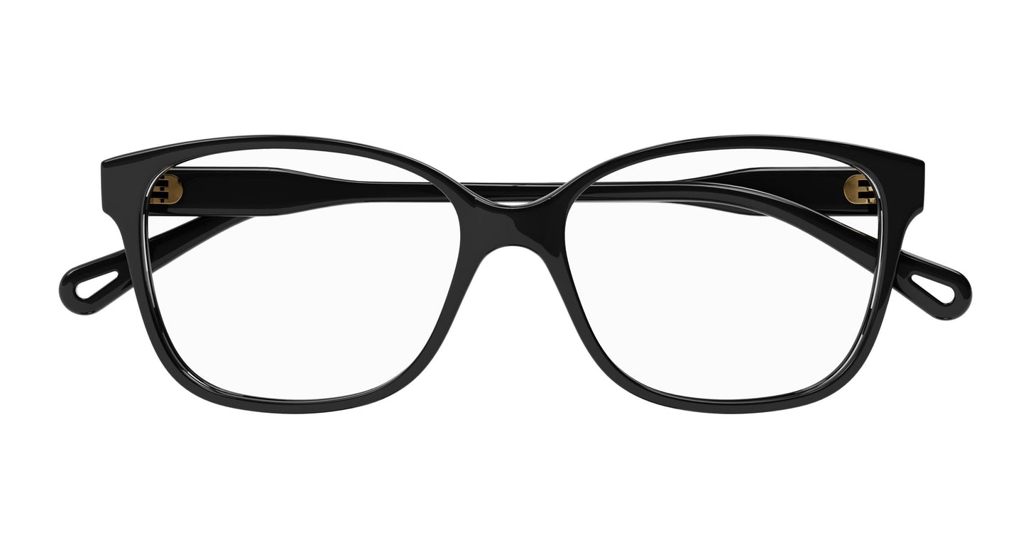Chloé CH0115O 001 54