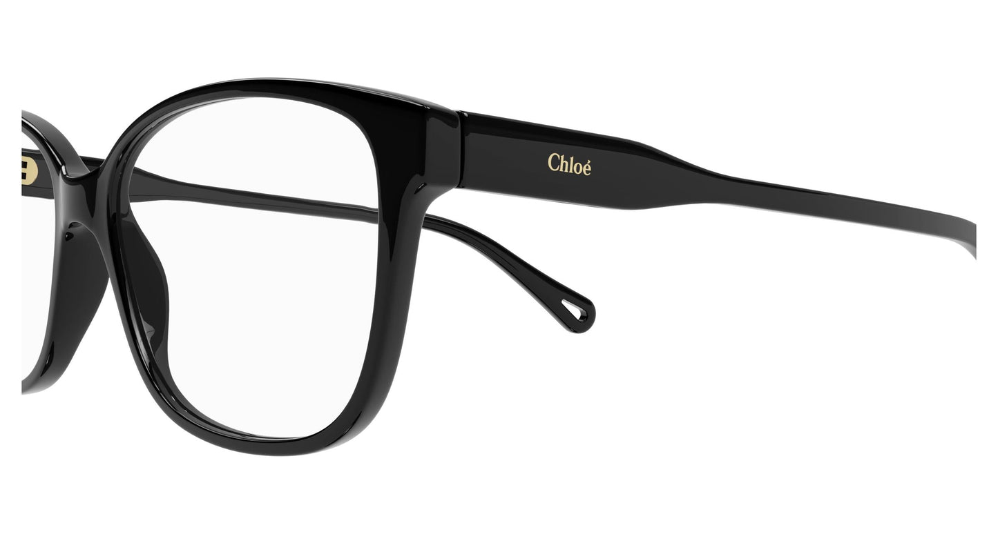 Chloé CH0115O 001 54