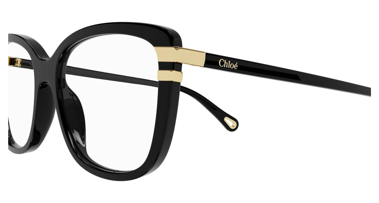 Chloé CH0119O 001 54
