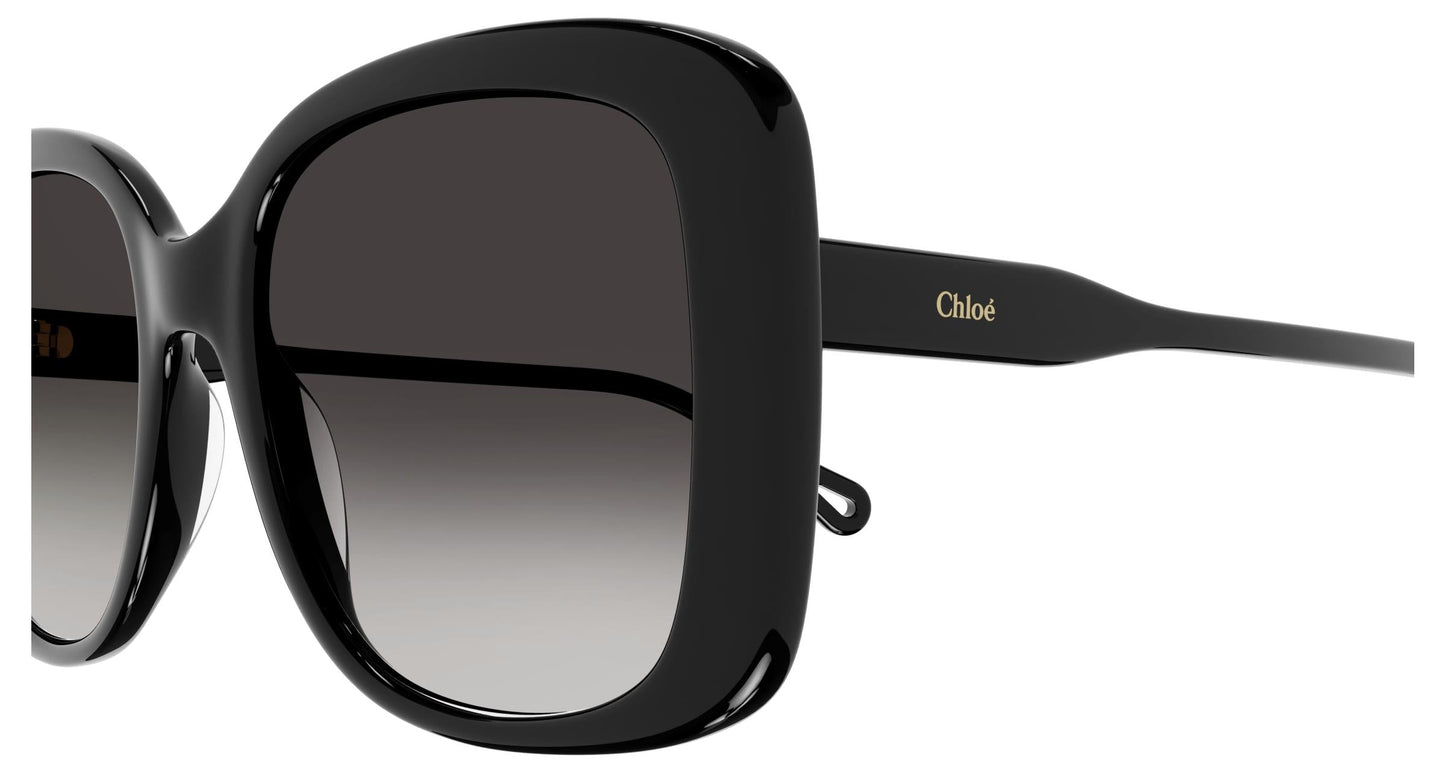 Chloé CH0125S 001 55