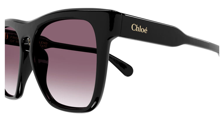 Chloé CH0149SA 001 56