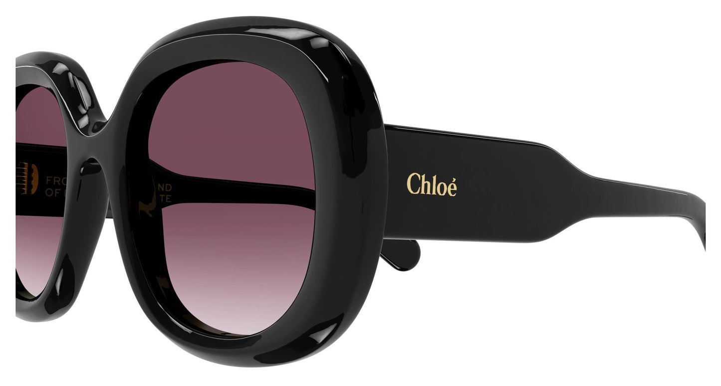 Chloé CH0153S 001 54