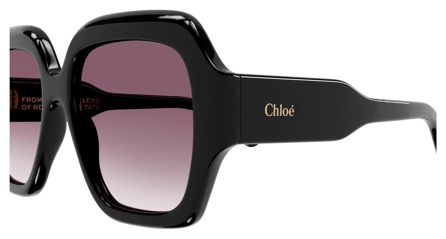 Chloé CH0154S 001 56
