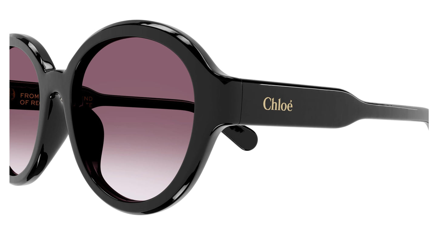 Chloé CH0156SK 001 54