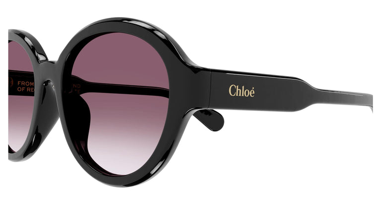 Chloé CH0156SK 001 54