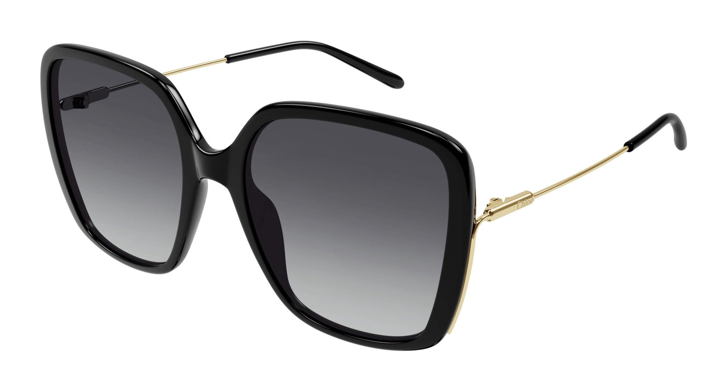 Chloé CH0173SA 001 59