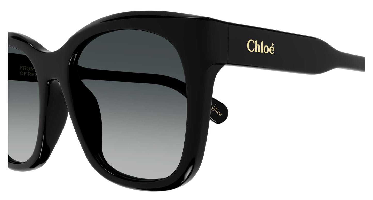 Chloé CH0194SK 001 55