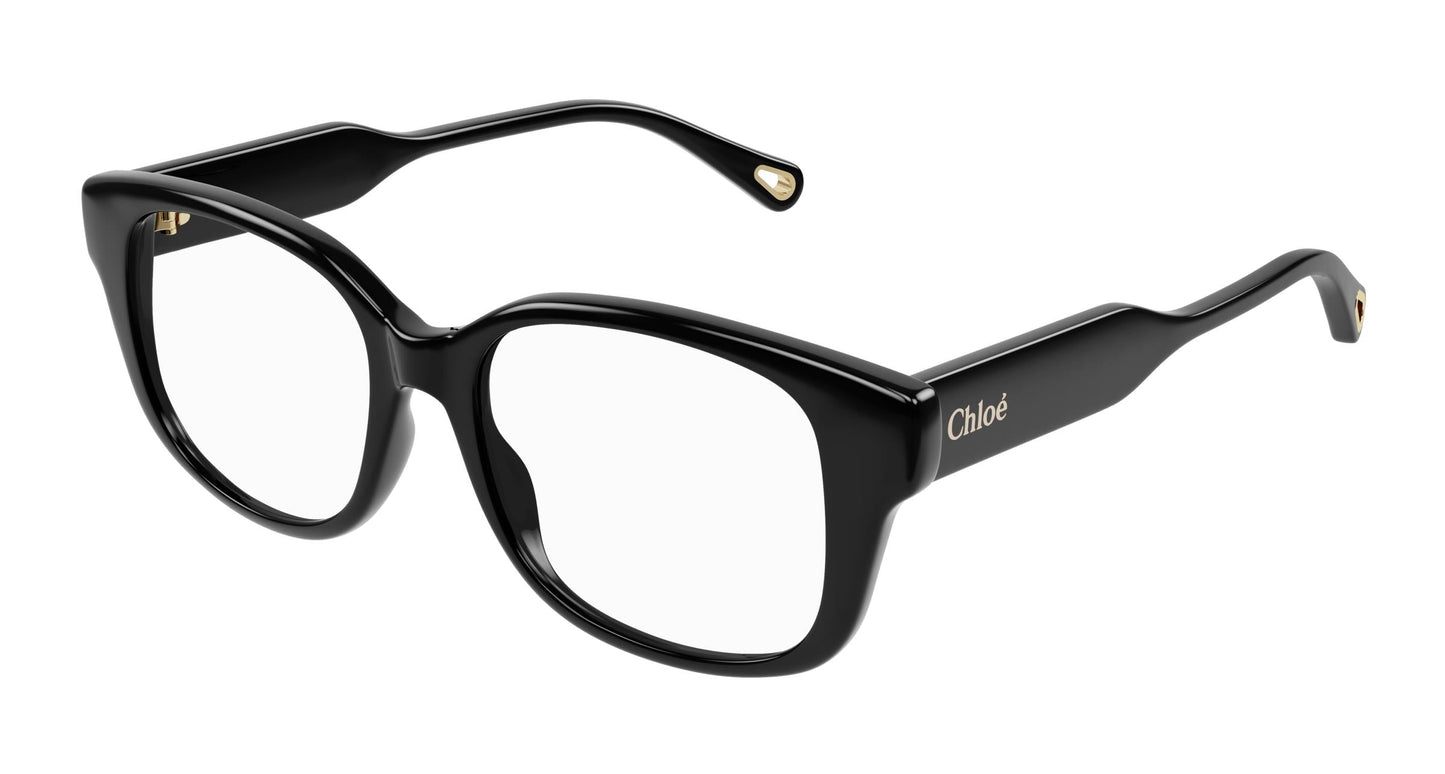 Chloé CH0198O 001 50