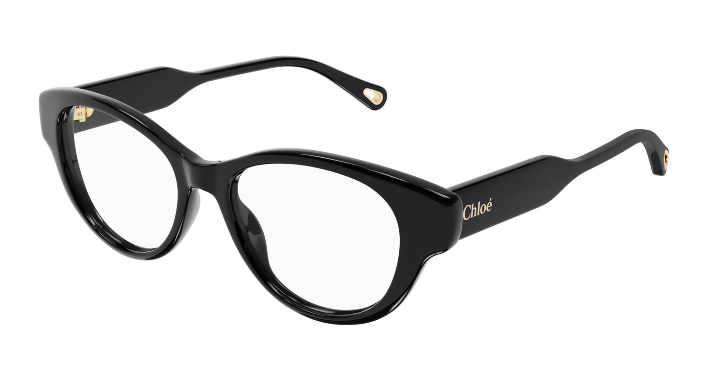 Chloé CH0199O 001 50