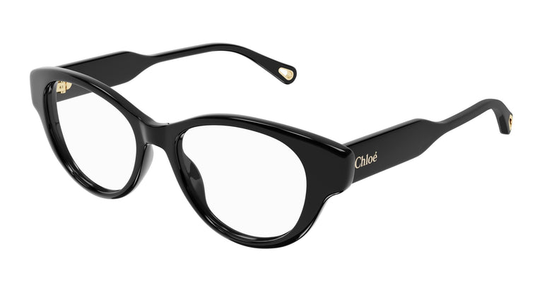 Chloé CH0199O 001 50