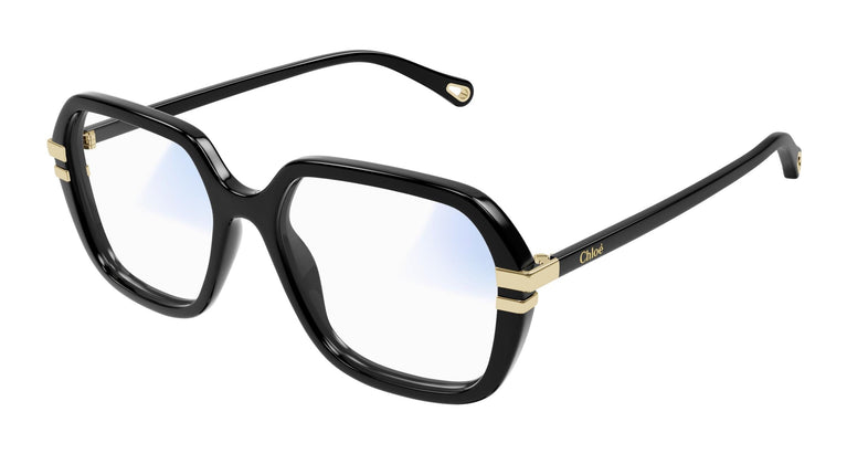 Chloé CH0205S 001 55