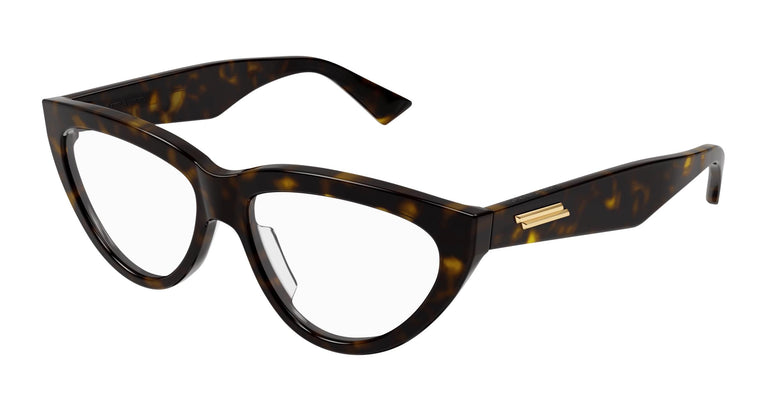 Bottega Veneta BV1193O 002 54