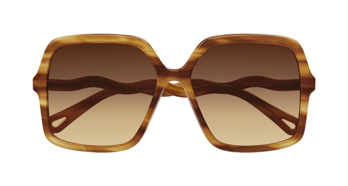 Chloé CH0086S 002 58