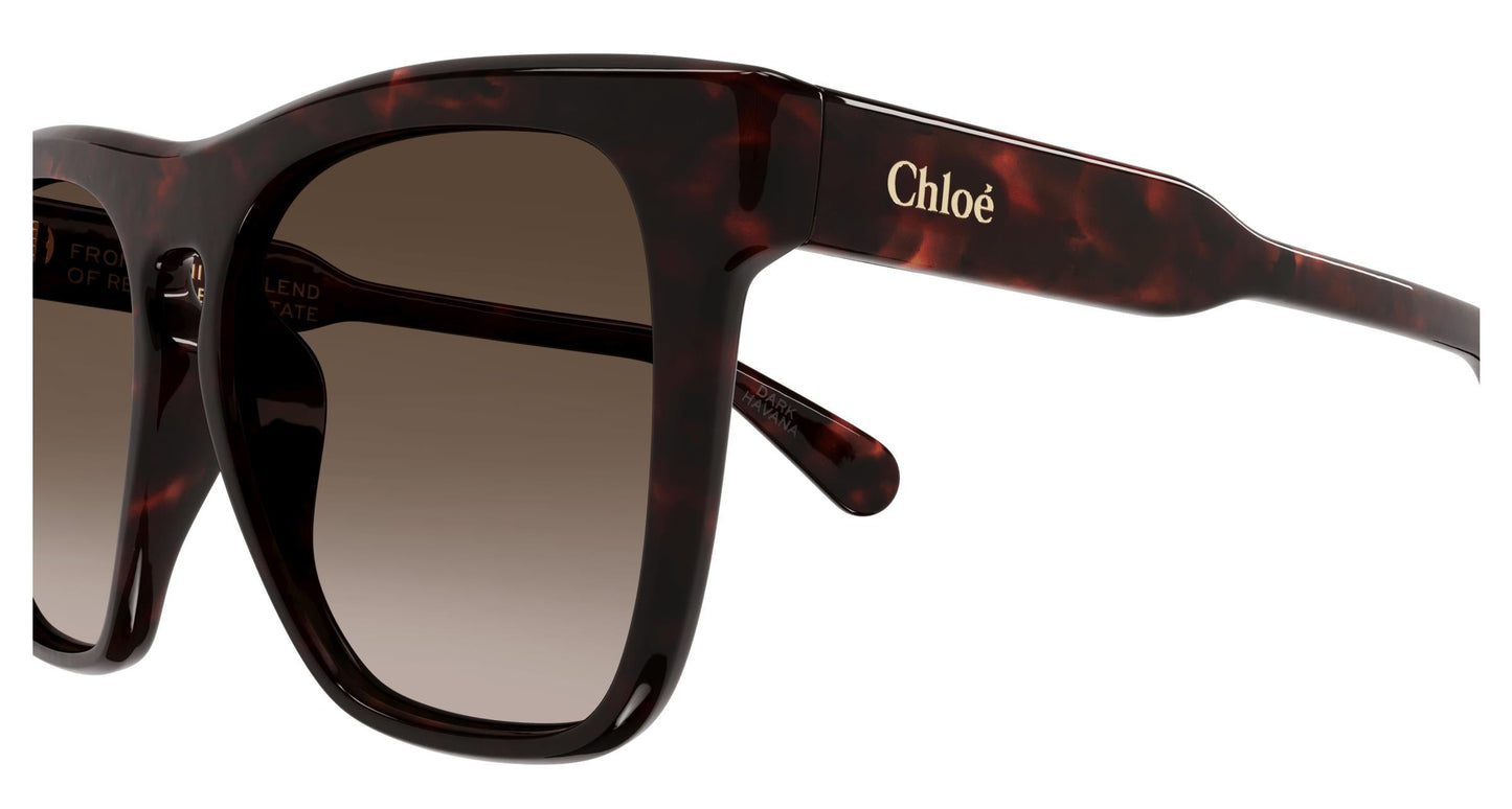 Chloé CH0149SA 002 56