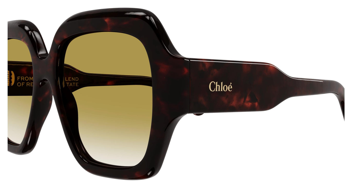 Chloé CH0154S 002 56