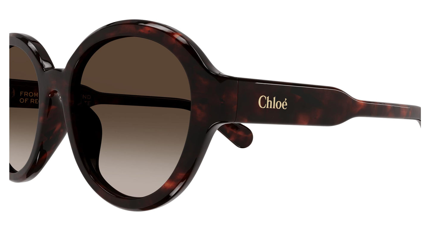 Chloé CH0156SK 002 54
